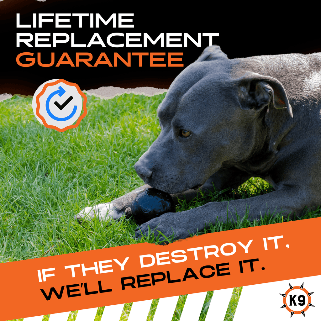 Beast Ball Rubber Dog Toy for Aggressive Chewers | Monster K9