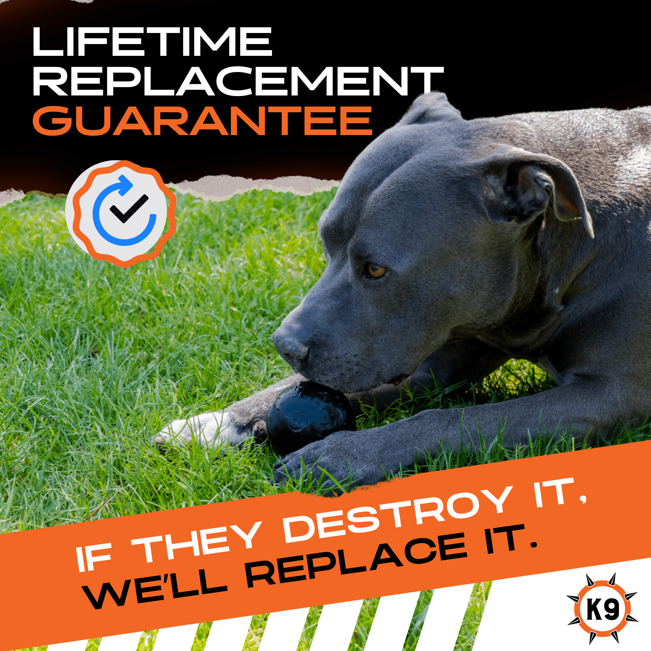 Beast Ball Rubber Dog Toy for Aggressive Chewers | Monster K9