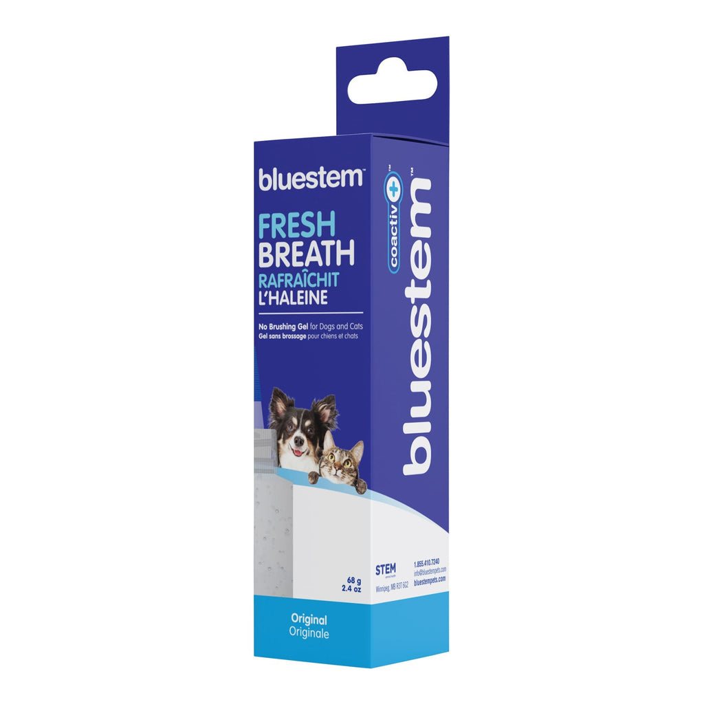 Bluestem No-Brush Dental Gel for Dogs & Cats — Coactiv+ Formula