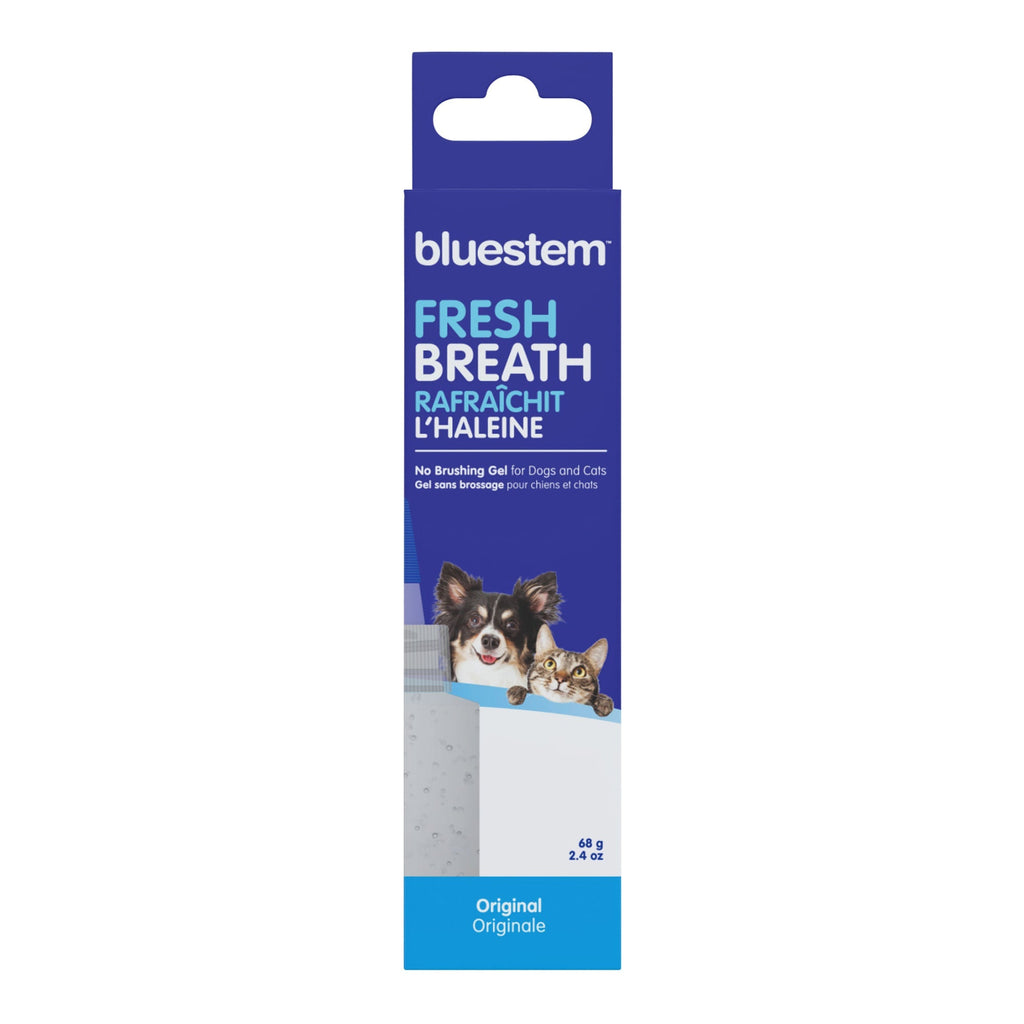 Bluestem No-Brush Dental Gel for Dogs & Cats — Coactiv+ Formula
