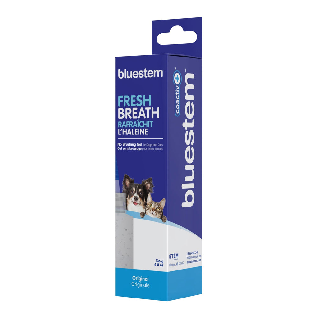 Bluestem No-Brush Dental Gel for Dogs & Cats — Coactiv+ Formula