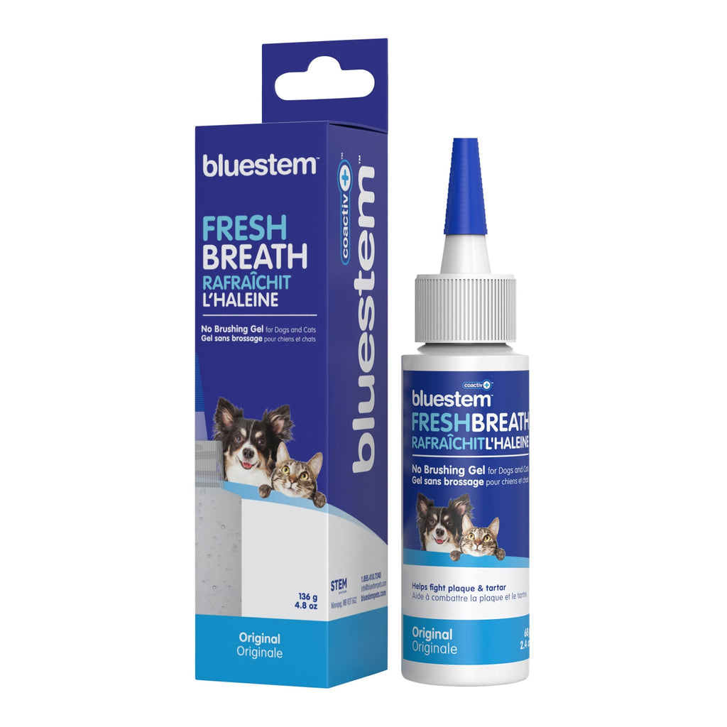 Bluestem No-Brush Dental Gel for Dogs & Cats — Coactiv+ Formula