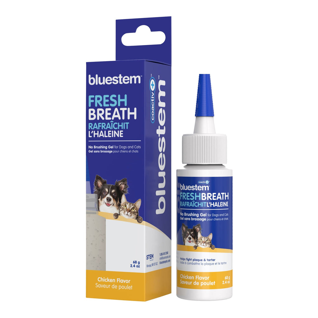 Bluestem No-Brush Dental Gel for Dogs & Cats — Coactiv+ Formula
