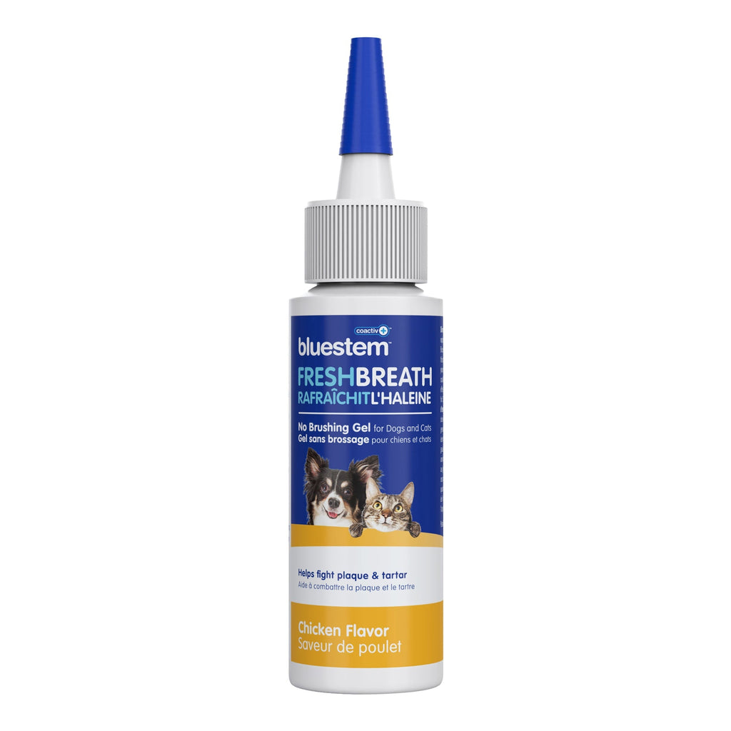 Bluestem No-Brush Dental Gel for Dogs & Cats — Coactiv+ Formula