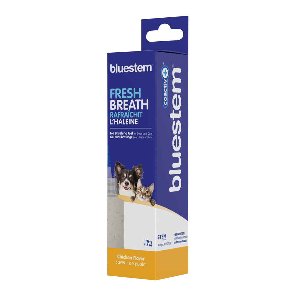 Bluestem No-Brush Dental Gel for Dogs & Cats — Coactiv+ Formula