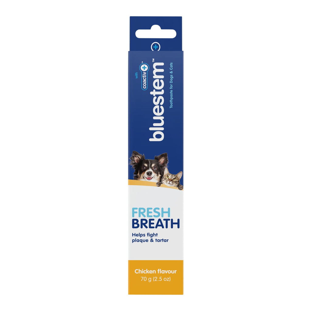 Bluestem Coactiv+ Dog & Cat Toothpaste — Chicken Flavor, 2.5 oz