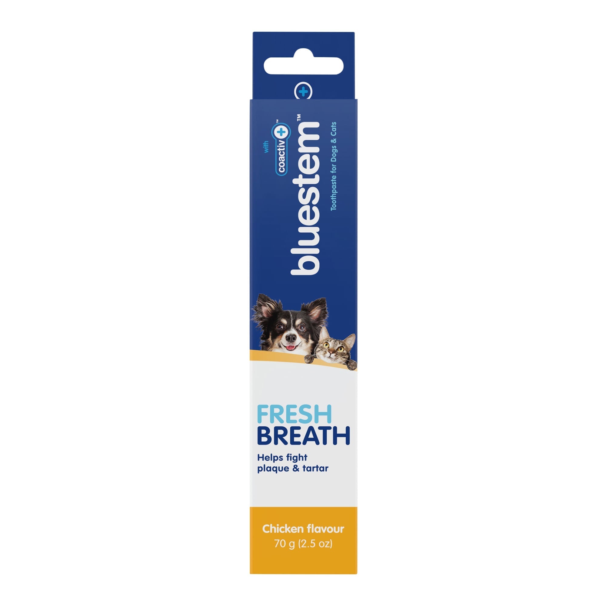 Bluestem Coactiv+ Dog & Cat Toothpaste — Chicken Flavor, 2.5 oz