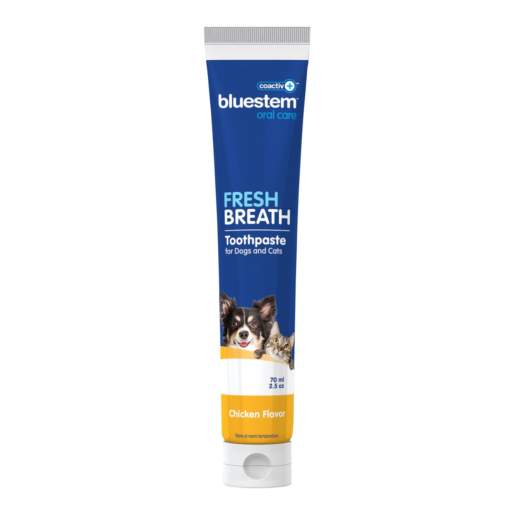Bluestem Coactiv+ Dog & Cat Toothpaste — Chicken Flavor, 2.5 oz