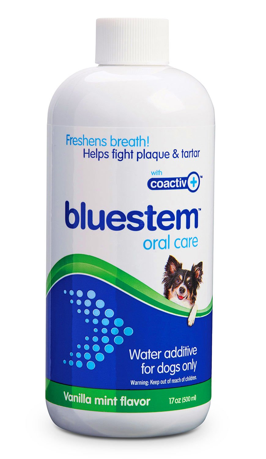 Bluestem Oral Care Water Additive for Dogs — Vanilla-Mint, 17 fl oz