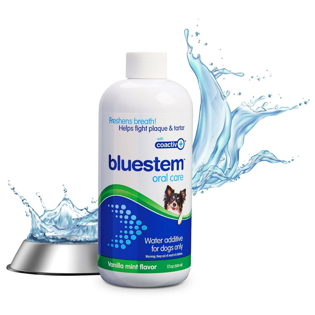 Bluestem Oral Care Water Additive for Dogs — Vanilla-Mint, 17 fl oz