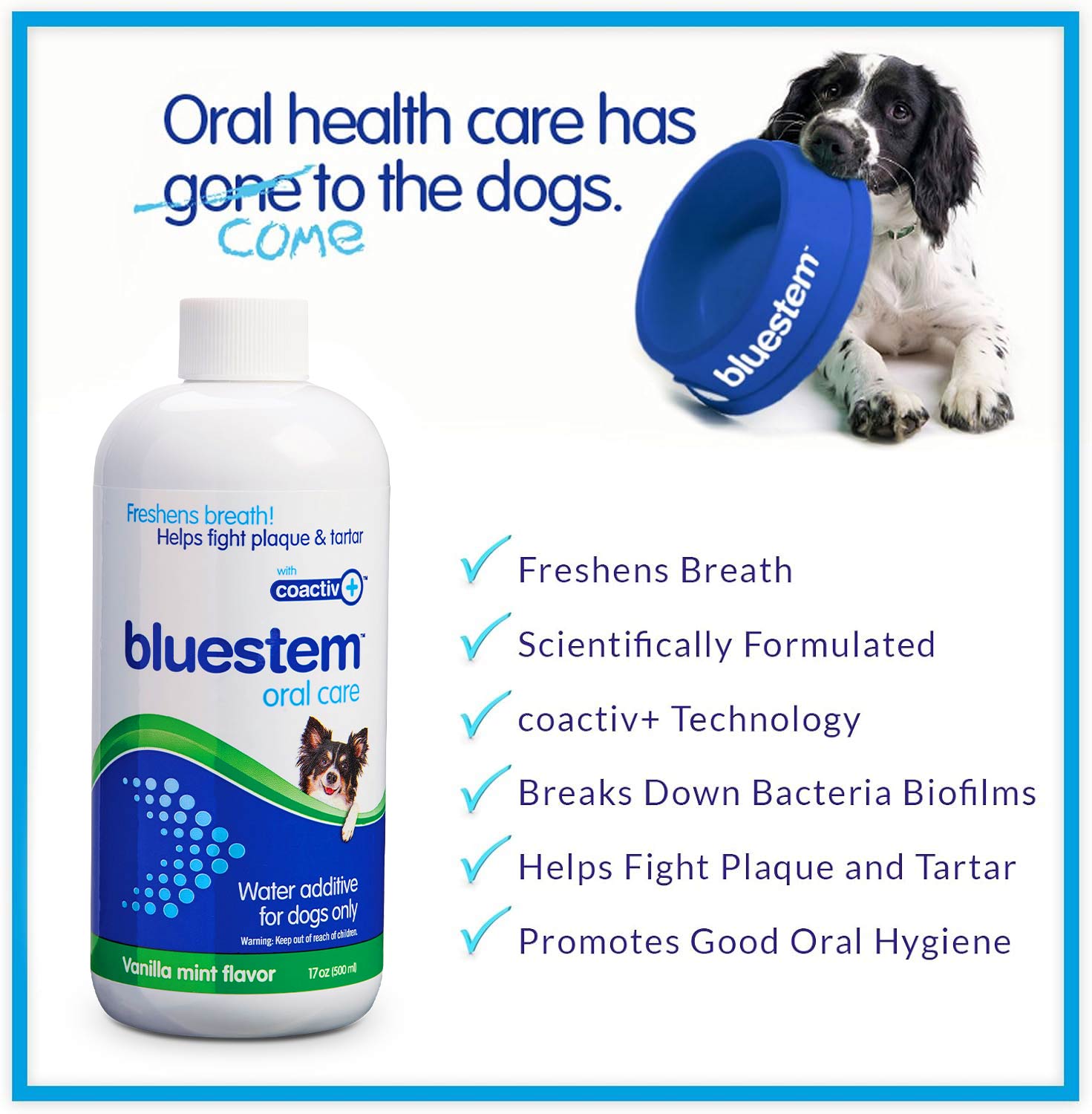 Bluestem Oral Care Water Additive for Dogs — Vanilla-Mint, 17 fl oz