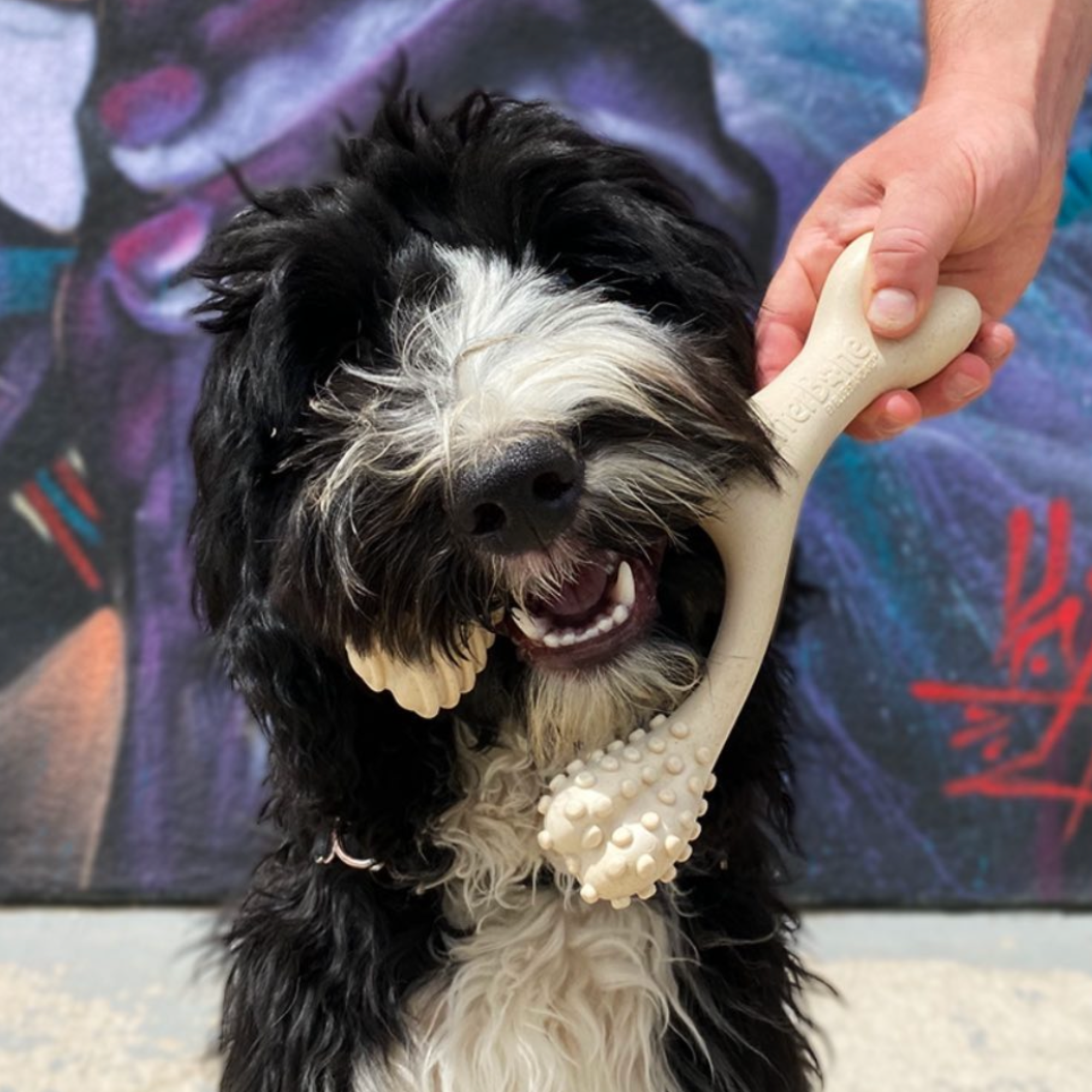 BetterBone SOFT Dog Chew Toy – Natural, Gentle & Perfect for Puppies, Seniors & Light Chewers – Dog Toys | Doggo Dream Shop