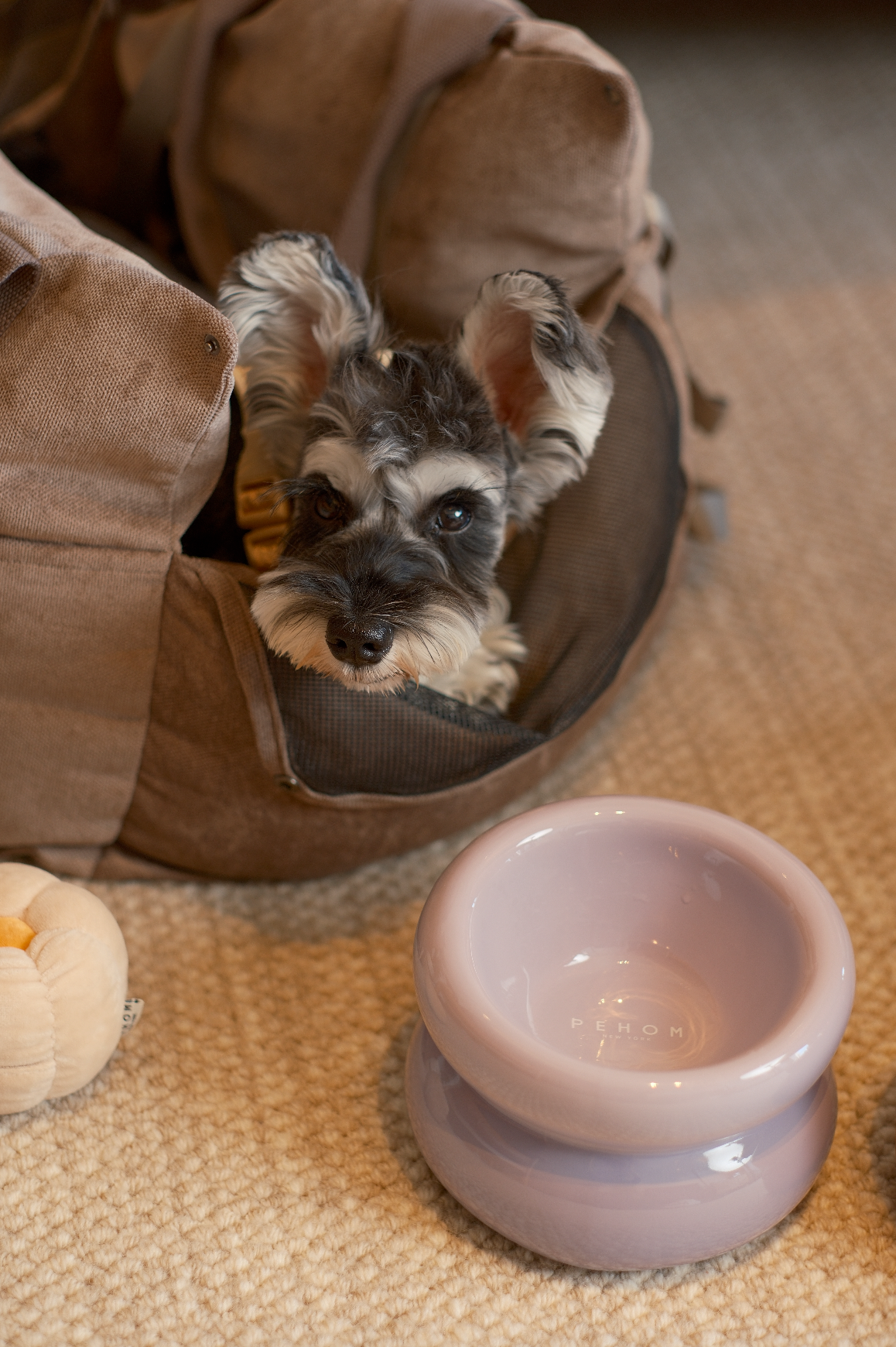 Soufflé Ceramic Dog Bowl – Purple