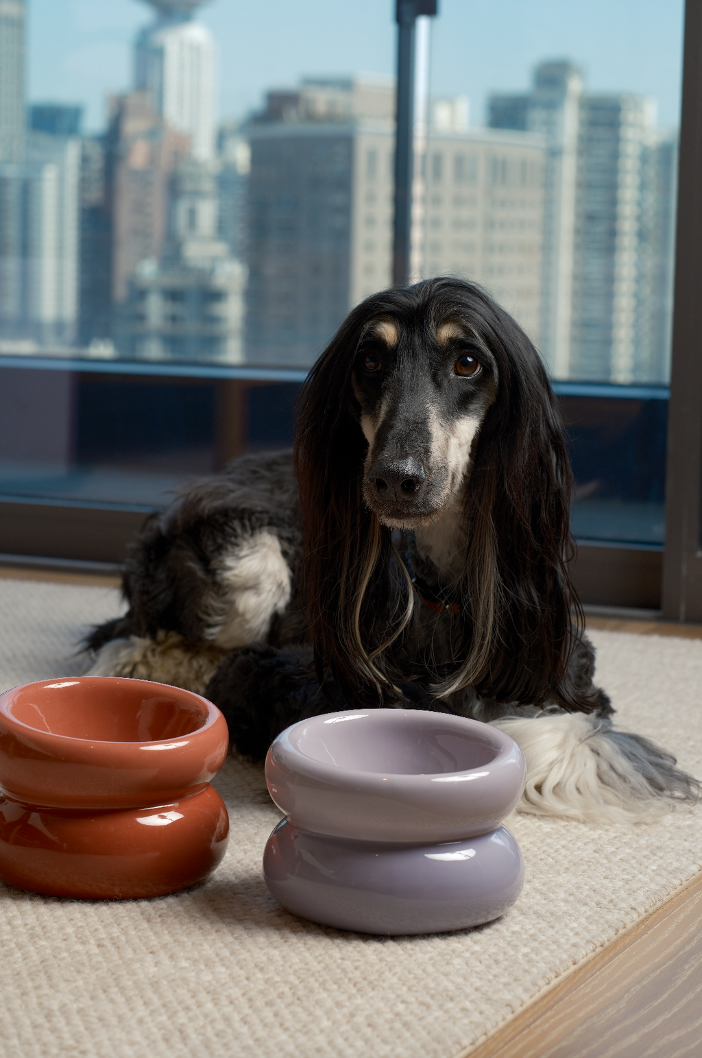 Soufflé Ceramic Dog Bowl – Purple