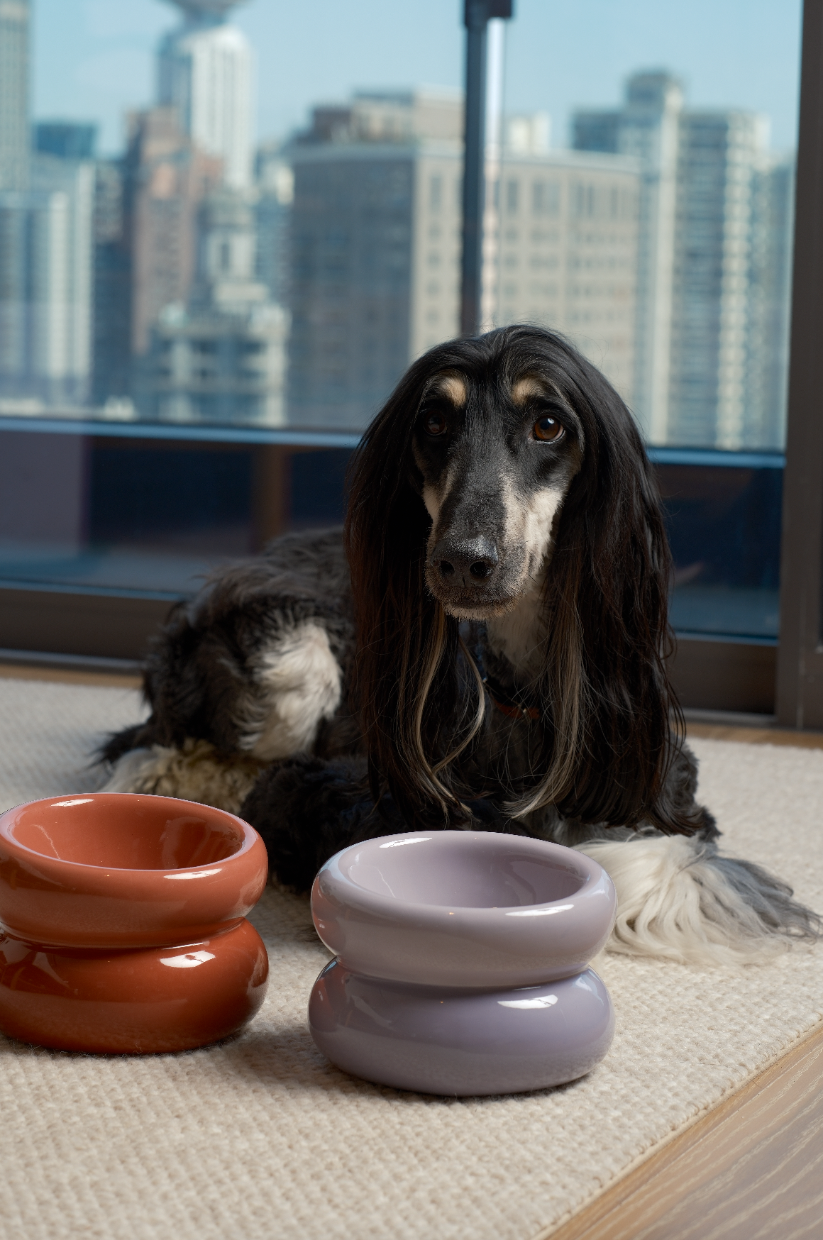 Soufflé Ceramic Dog Bowl – Purple