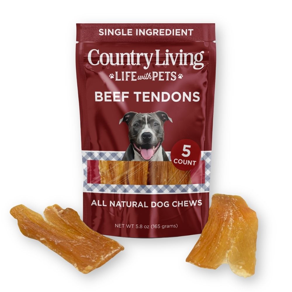 Country Living Beef Backstrap Tendon Dog Chews – 5 Count Bag – All-Natural, Long-Lasting, Single-Ingredient, Grain-Free