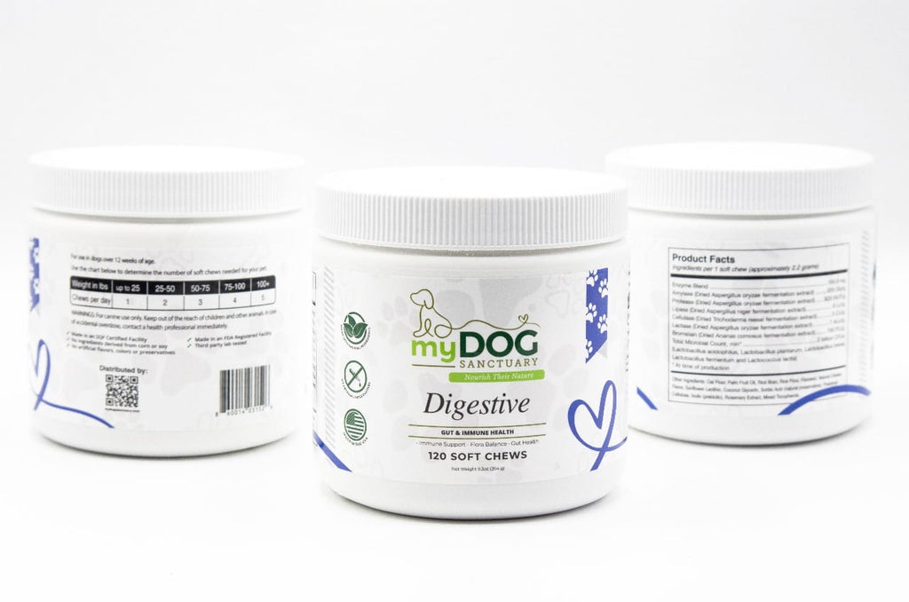 Gut Garden Digestive Support Chews – Dog Supplements | Doggo Dream Shop