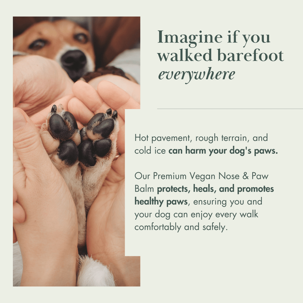 Dog Vegan Nose & Paw Balm | Nina Woof