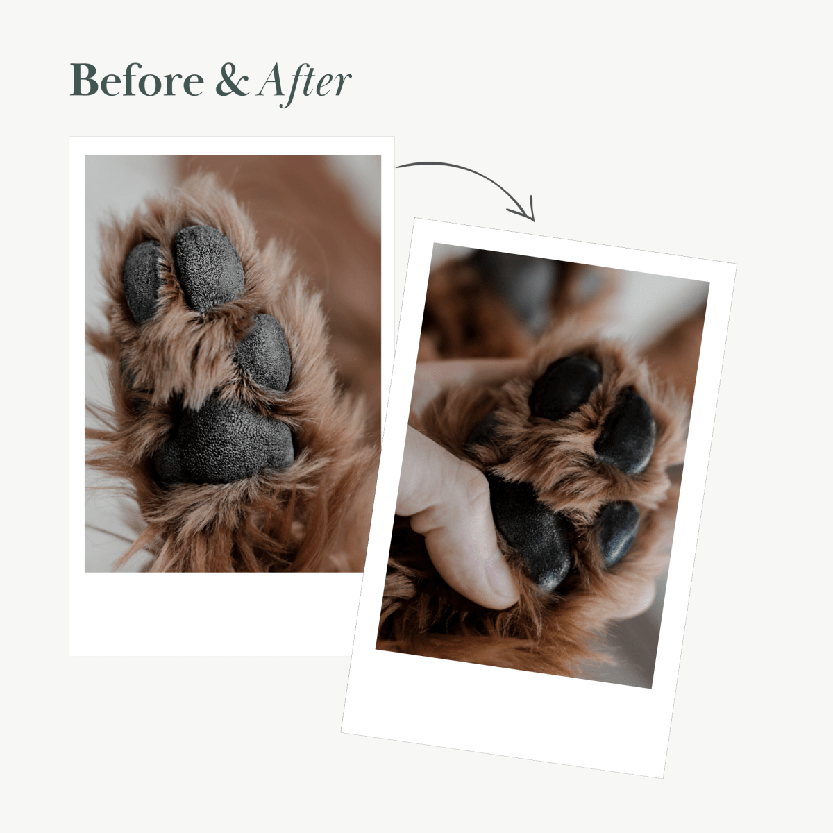 Dog Vegan Nose & Paw Balm | Nina Woof