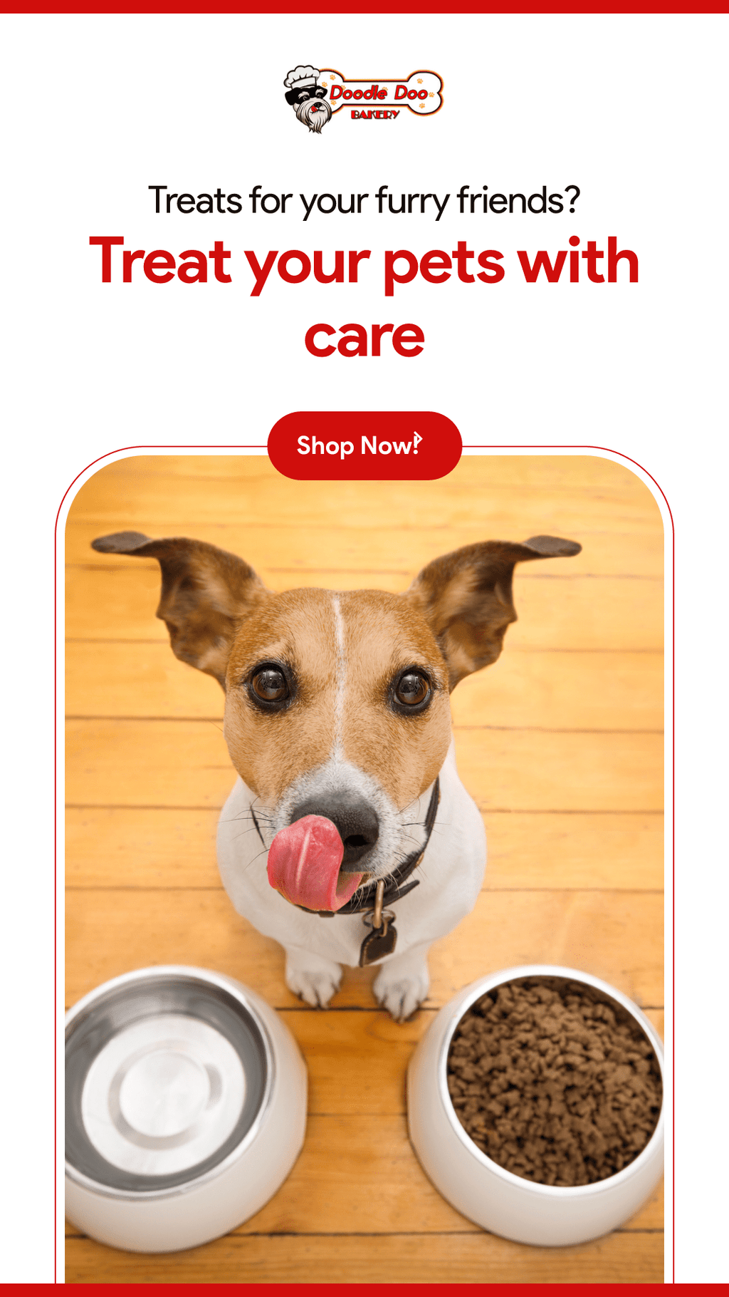 Party Bag Treat Blend | 1lb Homemade Dog Treats | Doodle Doo Bakery