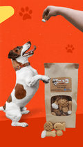 Party Bag Treat Blend | 1lb Homemade Dog Treats | Doodle Doo Bakery