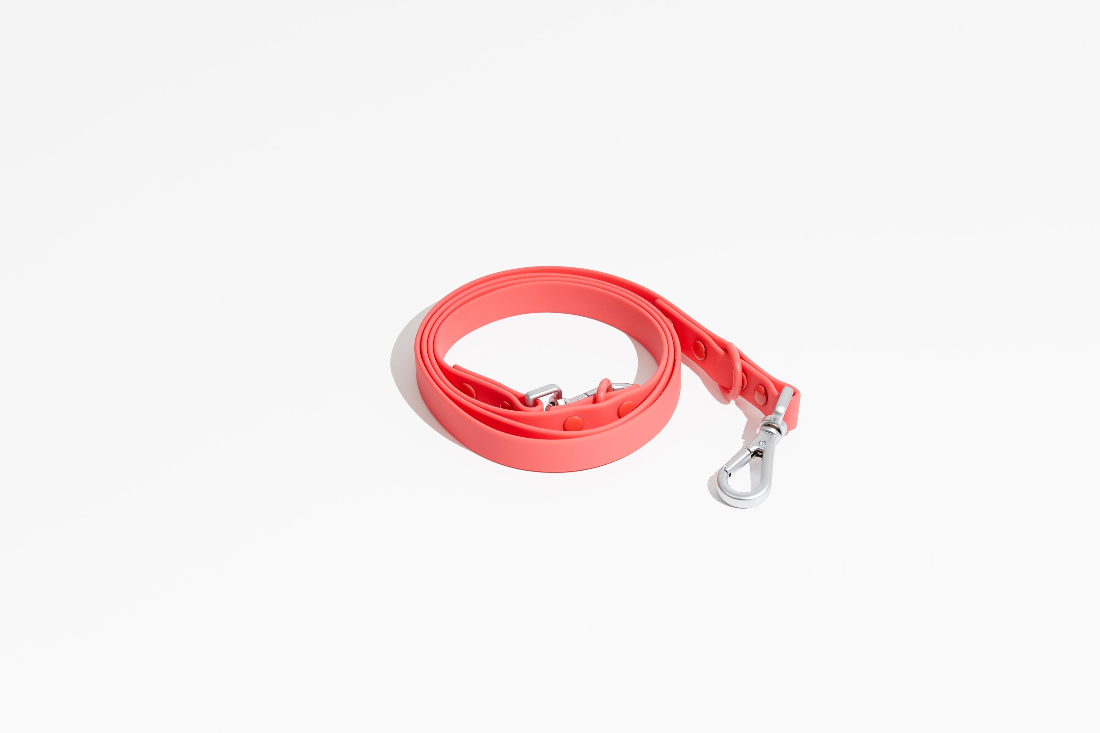 Luxe Leash - Poppy – Leash | Doggo Dream Shop