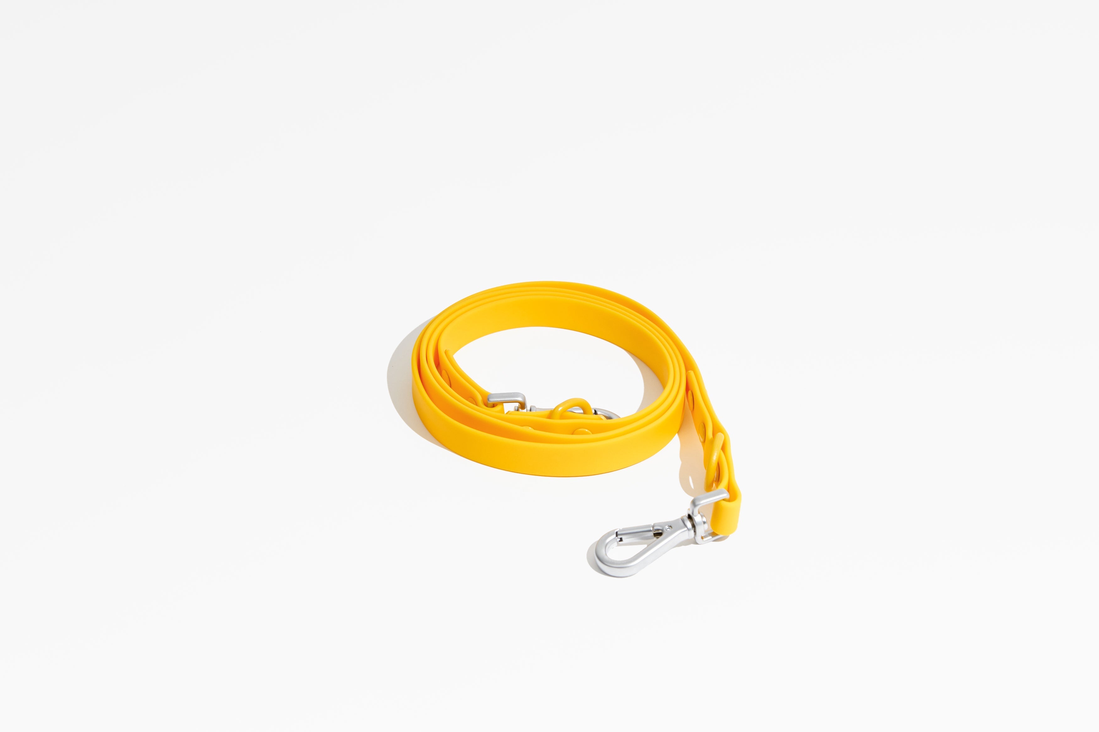 Luxe Leash - Soleil – Leash | Doggo Dream Shop