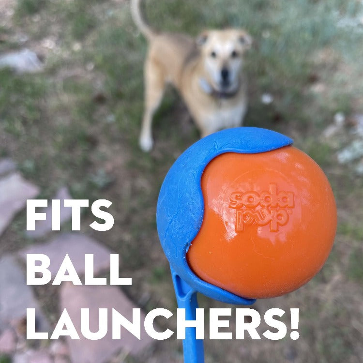 Squeak Ball – Durable Squeaky Dog Toy That Floats | USA Made