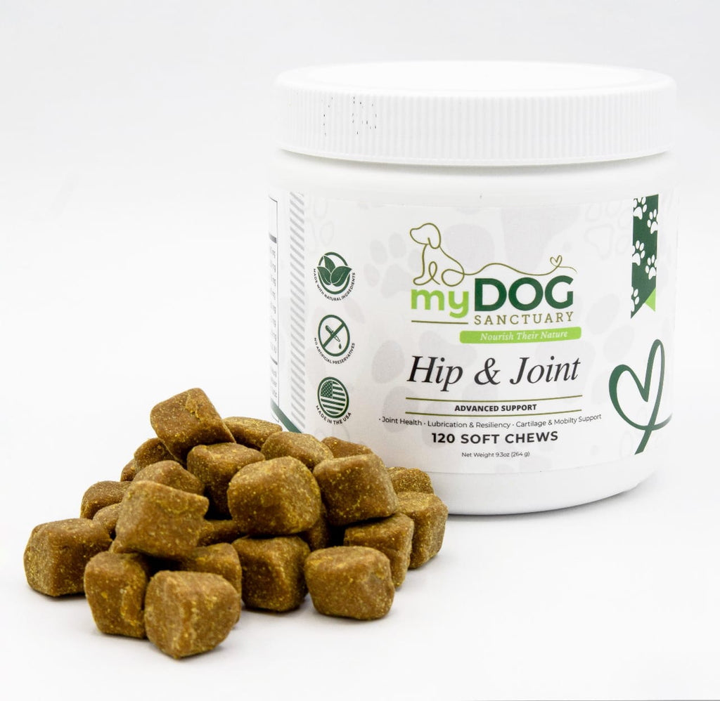 Sacred Steps Hip & Joint Support Chews – Dog Supplements | Doggo Dream Shop