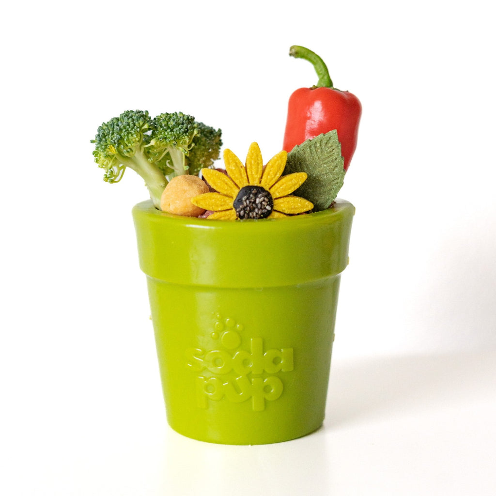 Large Flower Pot eCup Dog Treat Dispenser & Enrichment Toy | USA Made
