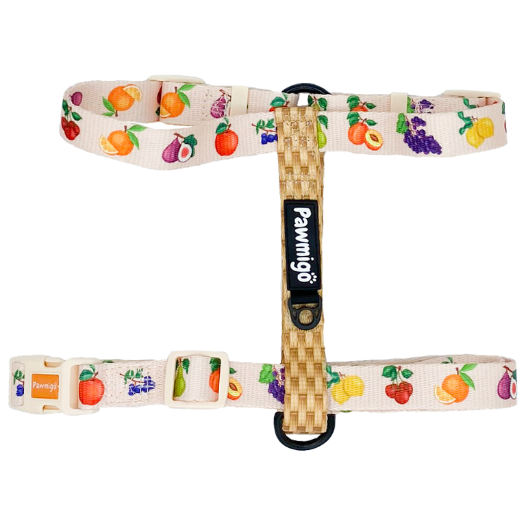 Frootie Patootie Free-Fit Harness – Free-Fit Harness | Doggo Dream Shop