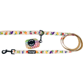 Frootie Patootie Leash Kit – Leash Kit | Doggo Dream Shop