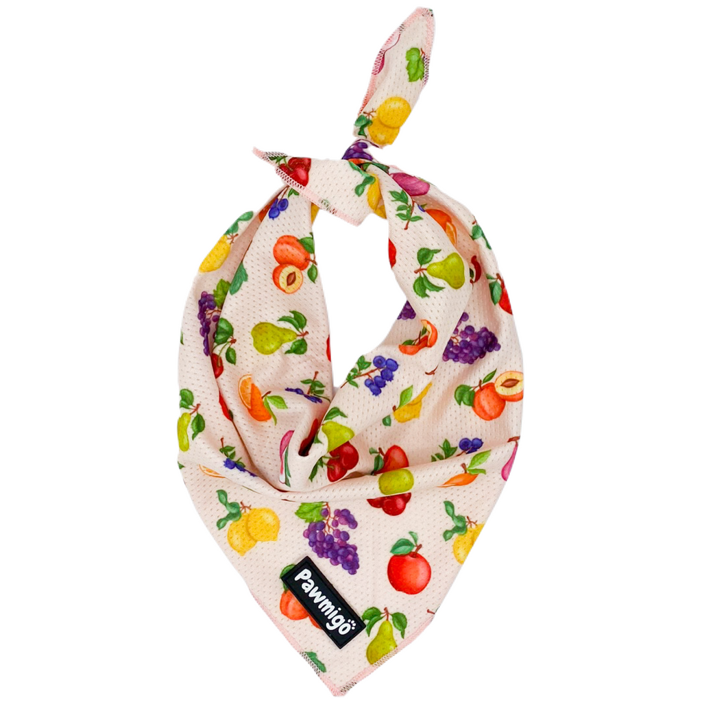 Frootie Patootie Cooling Bandana – Seasonal Bandana | Doggo Dream Shop