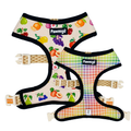 Frootie Patootie Reversible Harness – Reversible Harness | Doggo Dream Shop