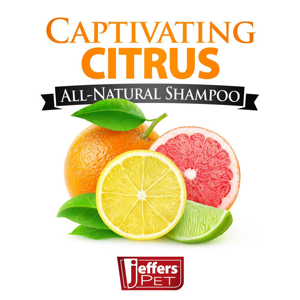Captivating Citrus Flea Bite Relief Shampoo for Dogs & Cats