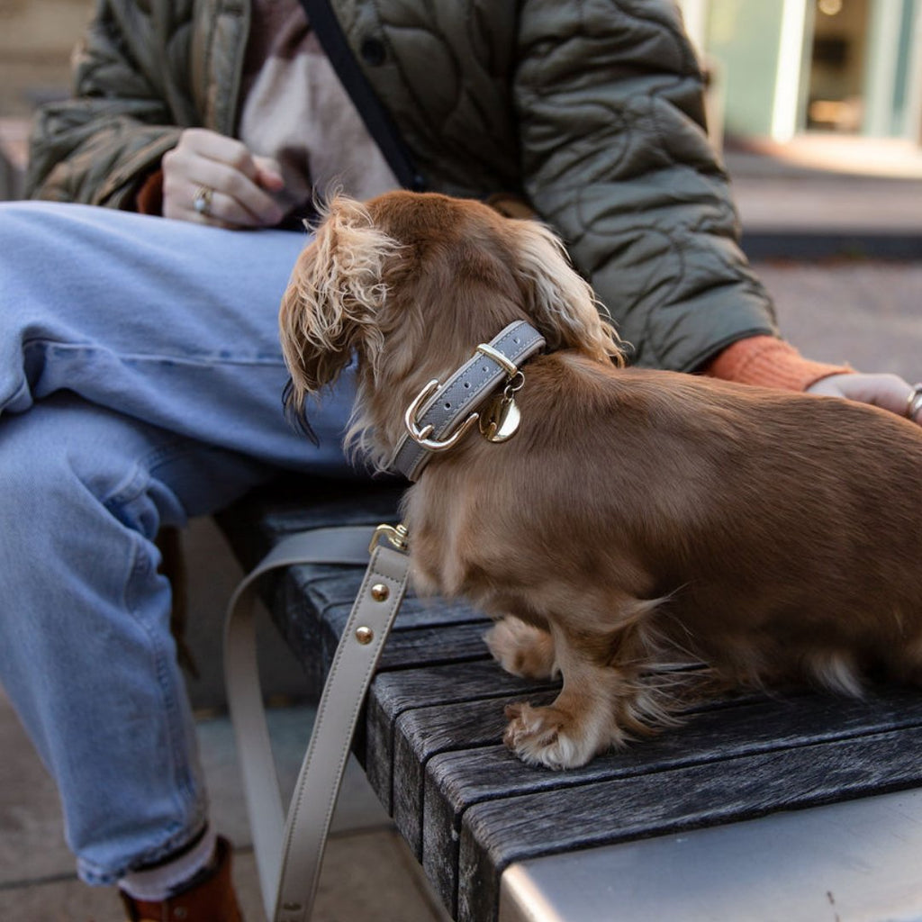 Leash 4ft - Vegan Leather - London