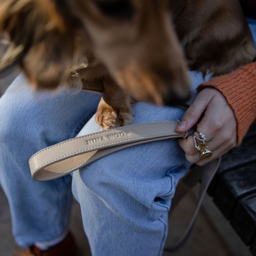Leash 4ft - Vegan Leather - London