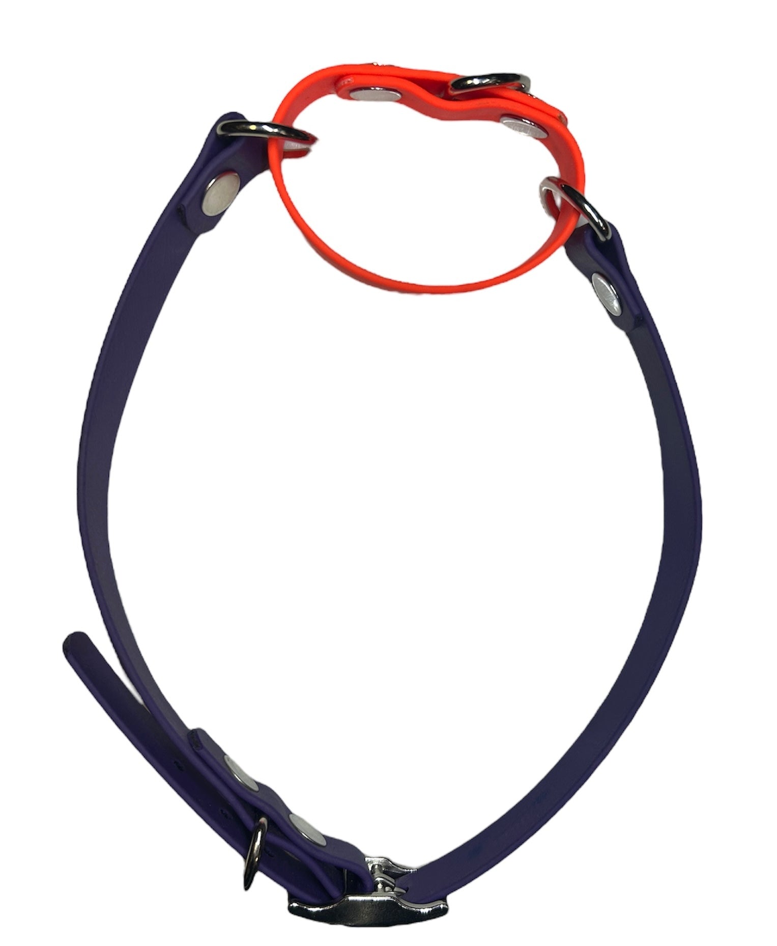 1 inch Martingale Collar – Collars | Doggo Dream Shop