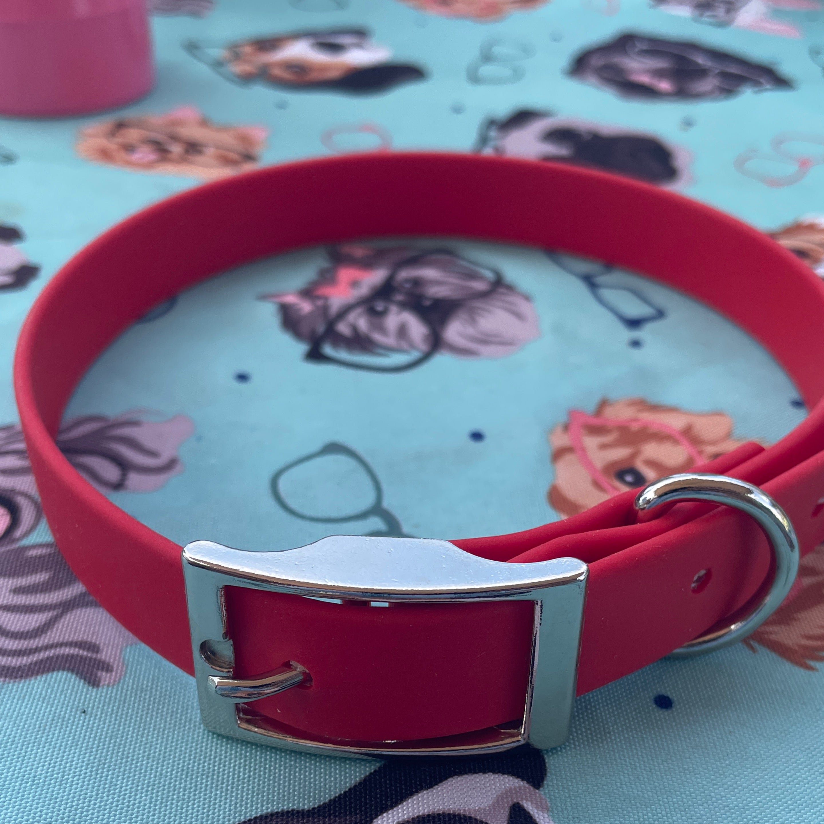 1 in Flat Collars – Collars | Doggo Dream Shop
