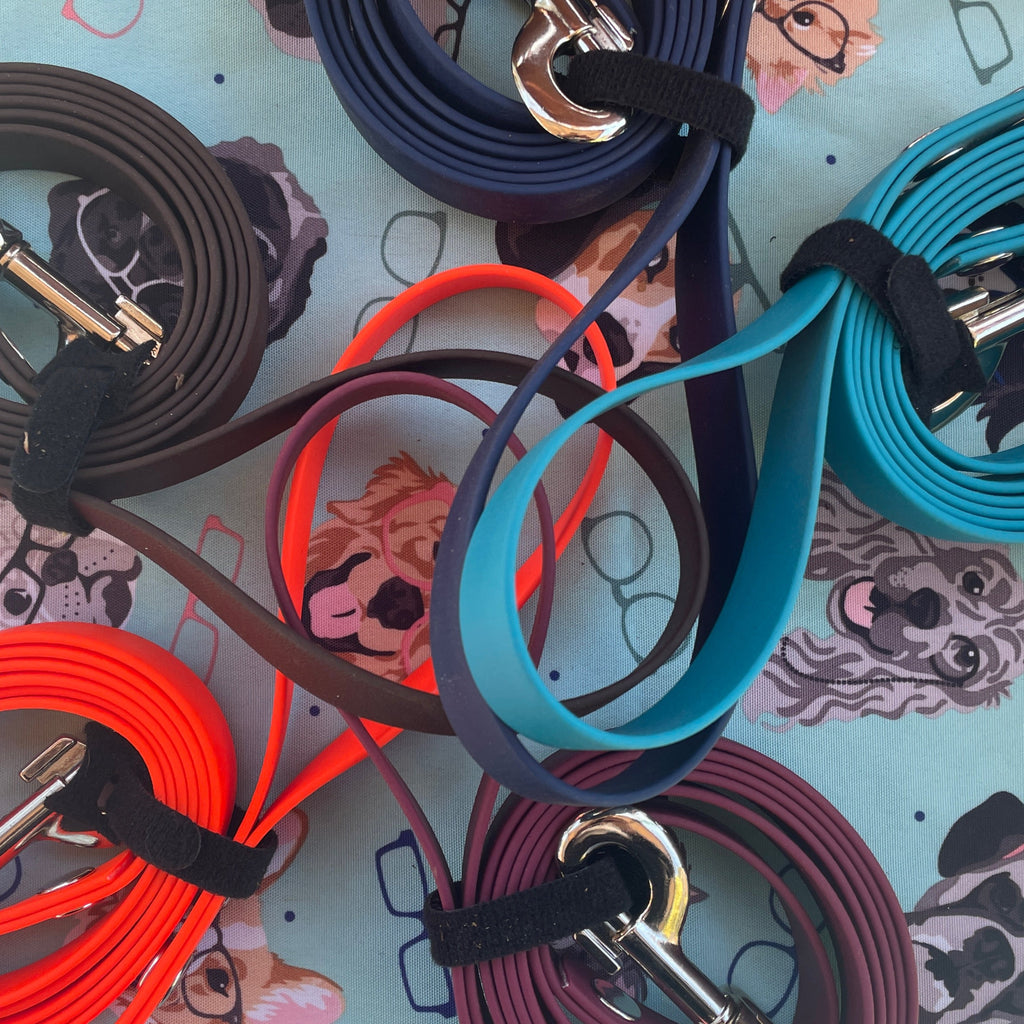 Biothane Standard leash – Leashes | Doggo Dream Shop