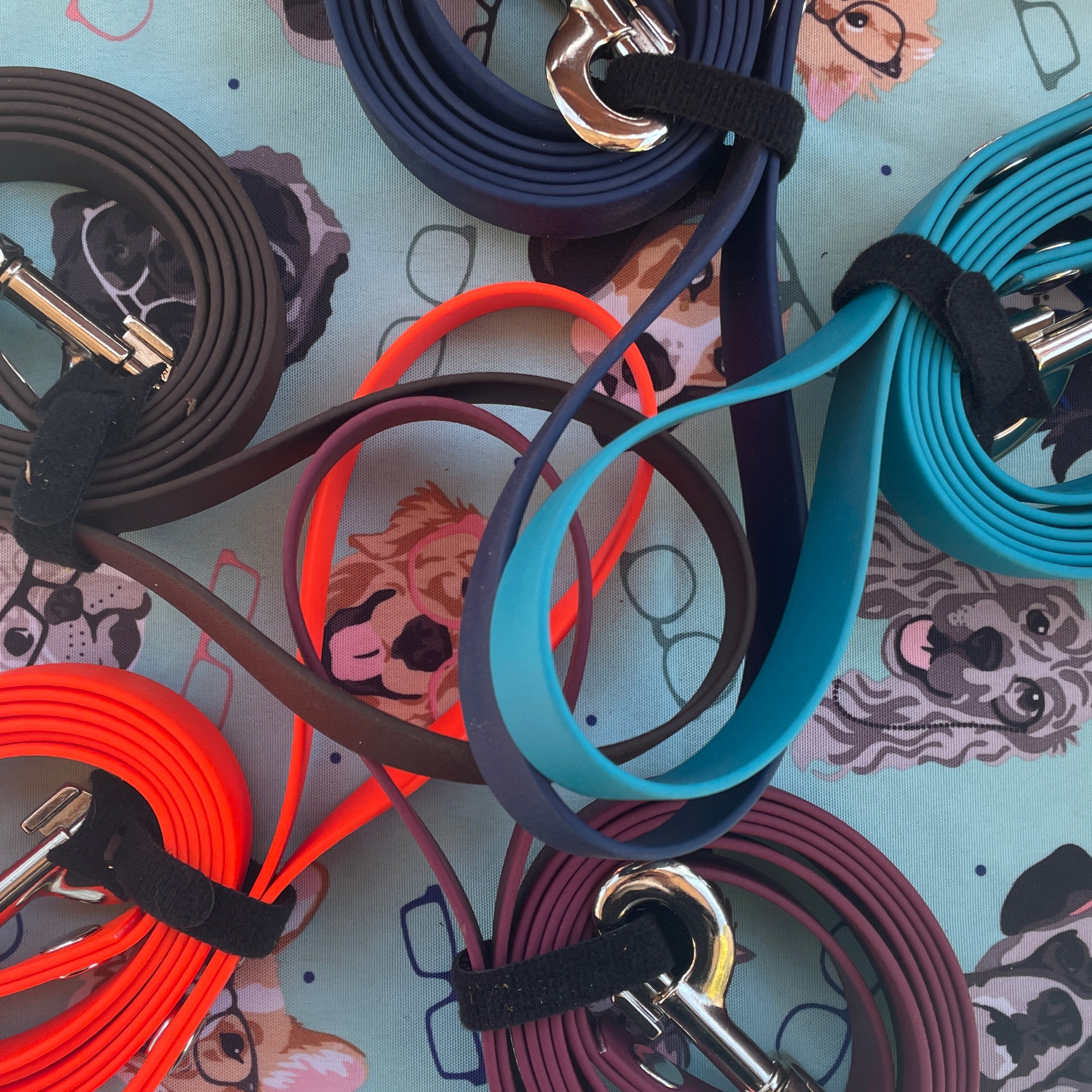 Biothane Standard leash – Leashes | Doggo Dream Shop
