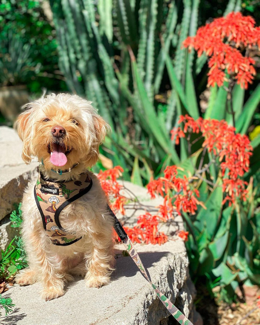 Jurassic Bark Leash Kit – Leash Kit | Doggo Dream Shop