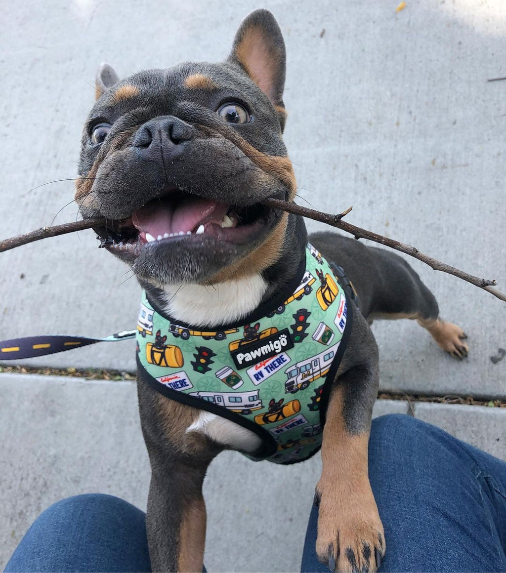 Muddy Paws Reversible Harness – Reversible Harness | Doggo Dream Shop