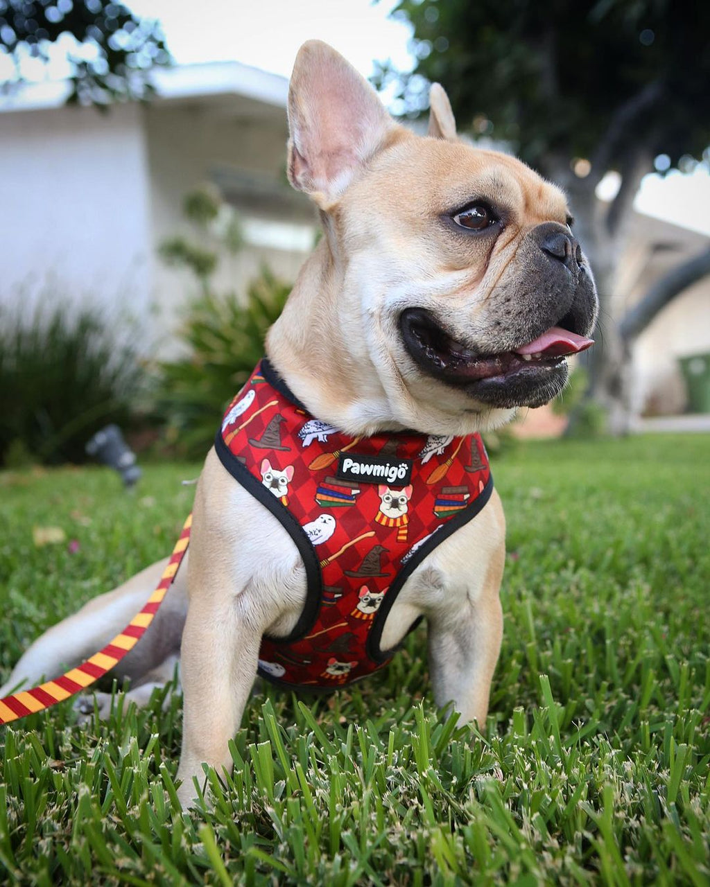 Pawgwarts Reversible Harness – Reversible Harness | Doggo Dream Shop