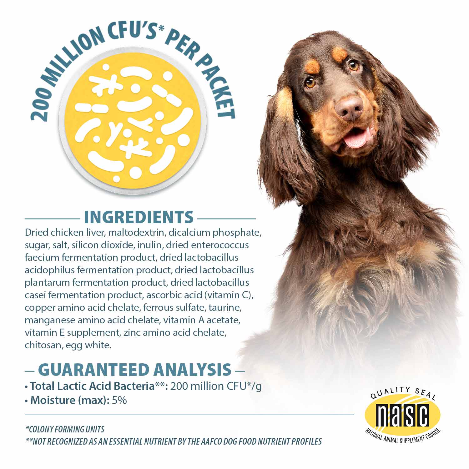 Pet's Choice Gut Instincts Probiotic Powder Packets for Dogs – 4-Strain Daily Digestive & Immune Support, 30 ct