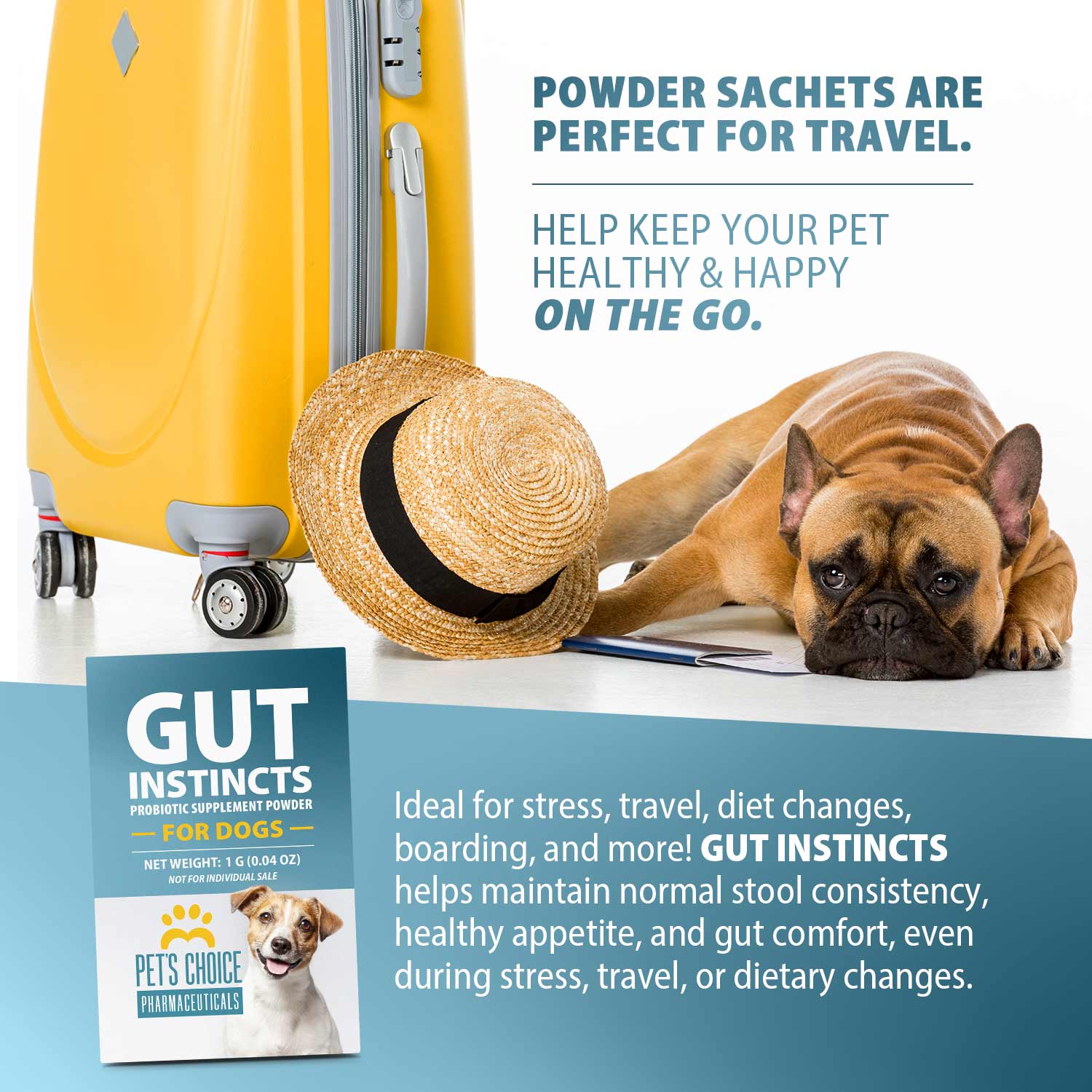 Pet's Choice Gut Instincts Probiotic Powder Packets for Dogs – 4-Strain Daily Digestive & Immune Support, 30 ct