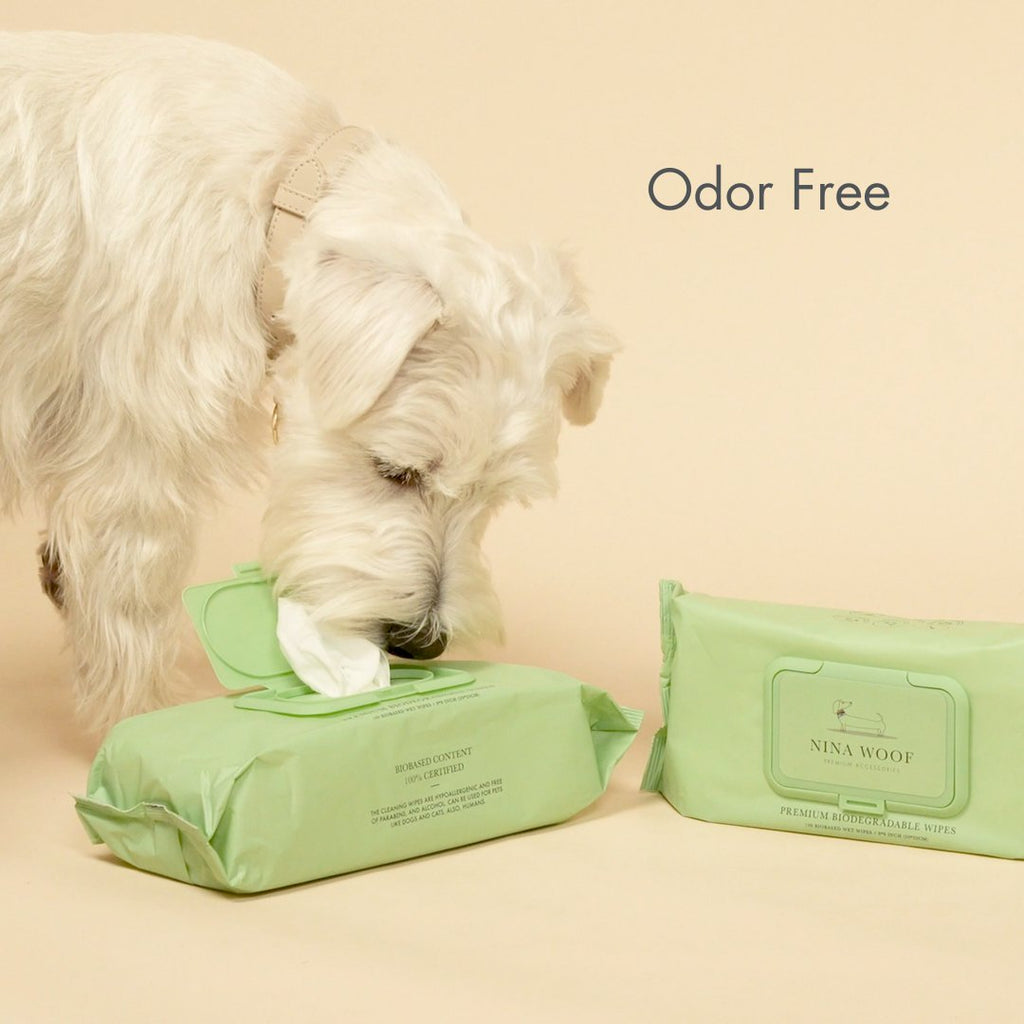 Premium Wipes - Biodegradable and Plant-Based
