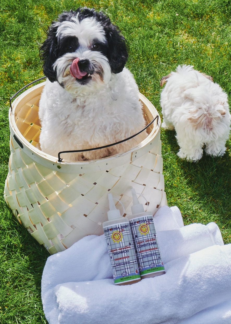 Super Sensitive Puppy & Dog Wash – No Fragrance, pH Balanced | California Baby