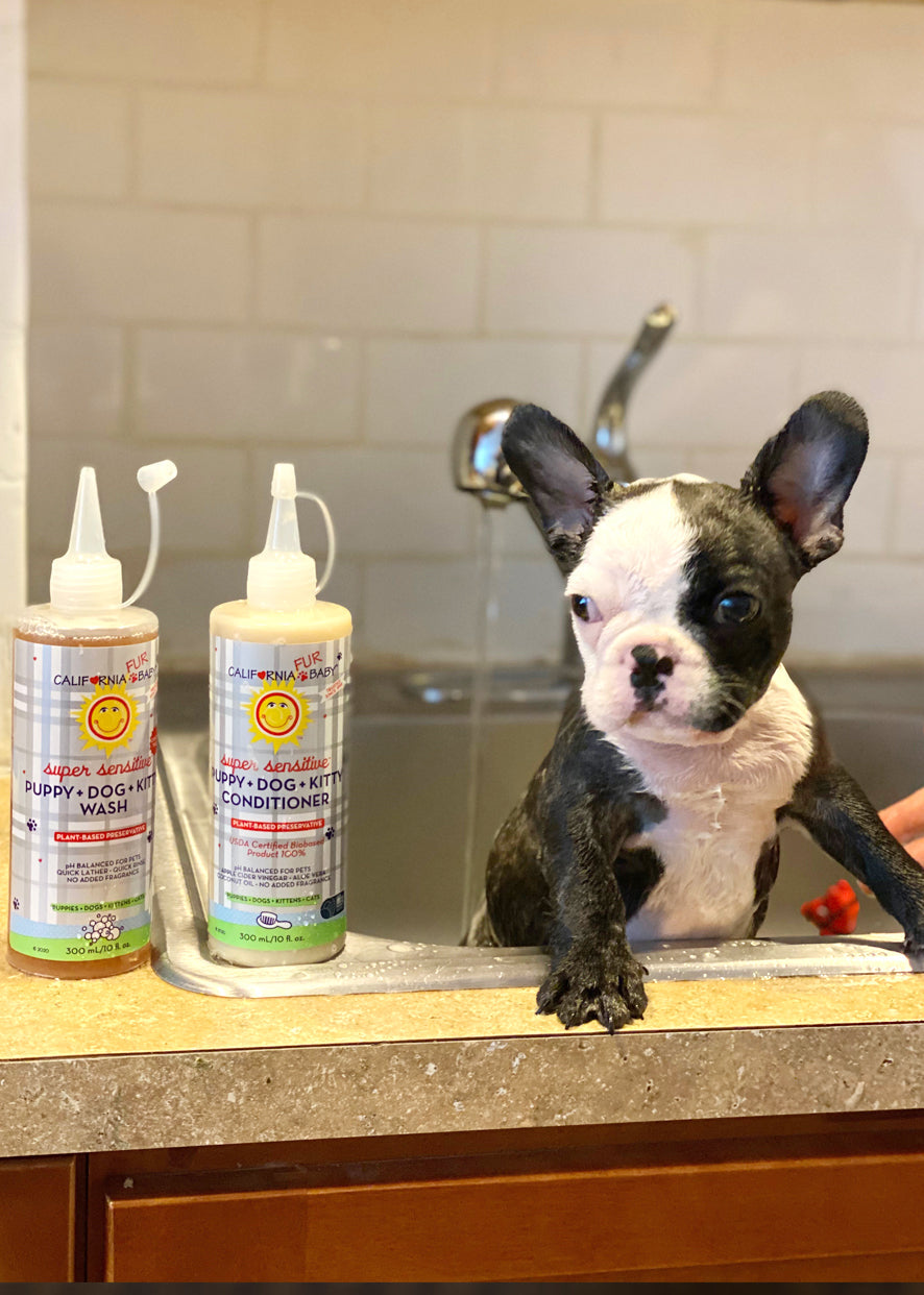 Super Sensitive Puppy & Dog Wash – No Fragrance, pH Balanced | California Baby