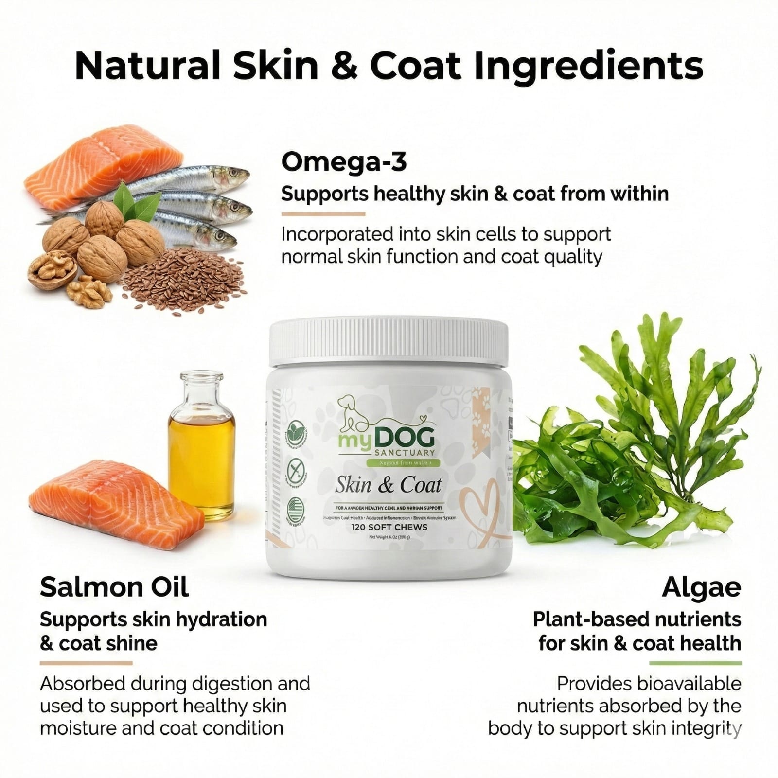 Radiant Refuge Skin & Coat Chews – Dog Supplements | Doggo Dream Shop